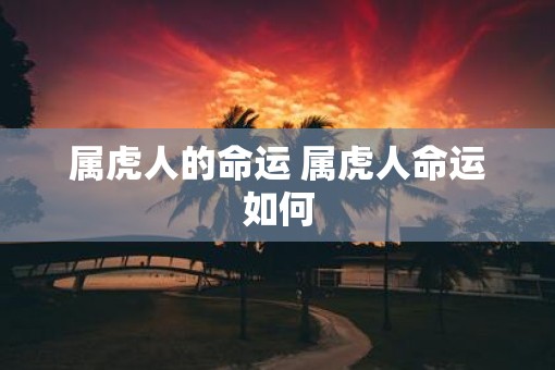 属虎人的命运 属虎人命运如何