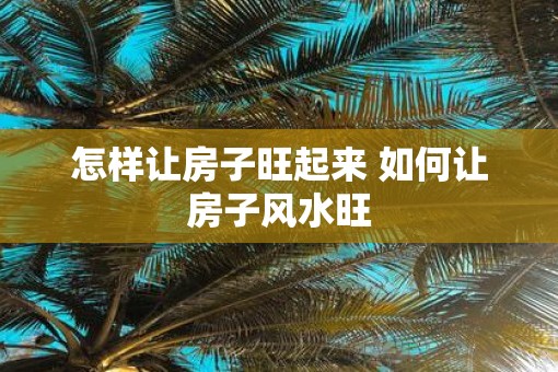 怎样让房子旺起来 如何让房子风水旺