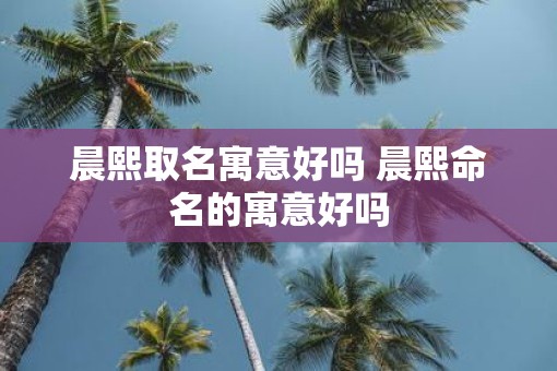 晨熙取名寓意好吗 晨熙命名的寓意好吗