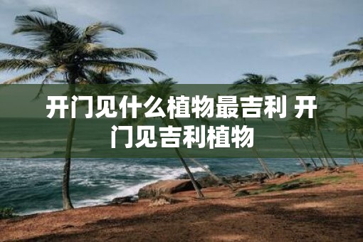 开门见什么植物最吉利 开门见吉利植物
