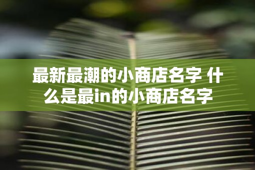 最新最潮的小商店名字 什么是最in的小商店名字 最新最潮的小商店名字 什么是最in的小商店名字