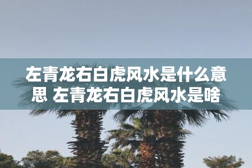 左青龙右白虎风水是什么意思 左青龙右白虎风水是啥
