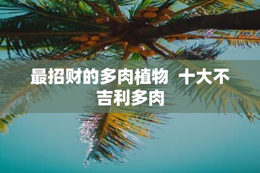 最招财的多肉植物  十大不吉利多肉