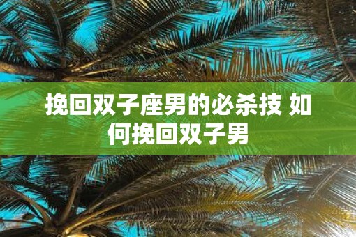 挽回双子座男的必杀技 如何挽回双子男