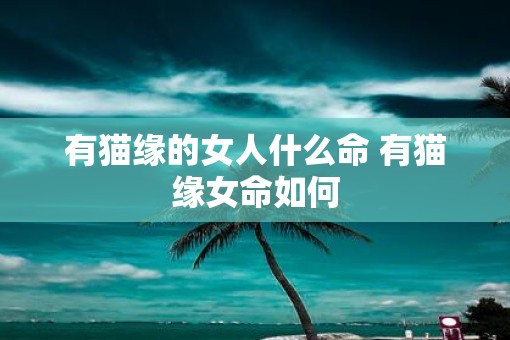 有猫缘的女人什么命 有猫缘女命如何