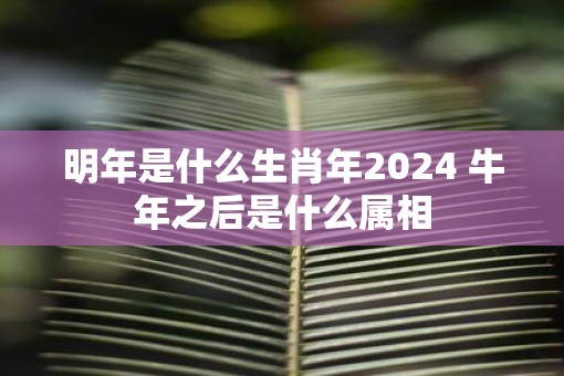 明年是什么生肖年2025 牛年之后是什么属相