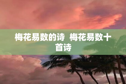 梅花易数的诗  梅花易数十首诗