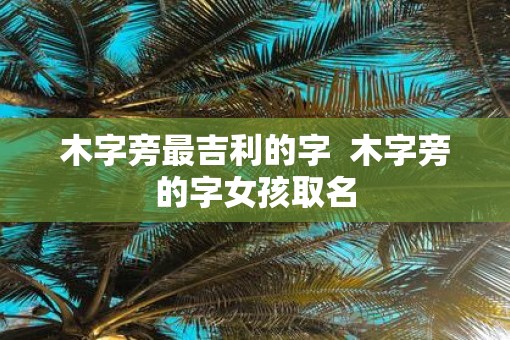 木字旁最吉利的字  木字旁的字女孩取名