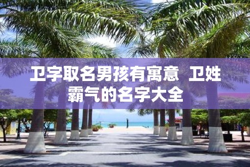 卫字取名男孩有寓意  卫姓霸气的名字大全