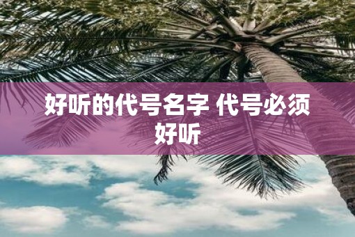 好听的代号名字 代号必须好听