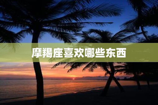摩羯座喜欢哪些东西