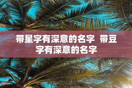 带星字有深意的名字  带豆字有深意的名字