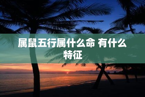 属鼠五行属什么命 有什么特征