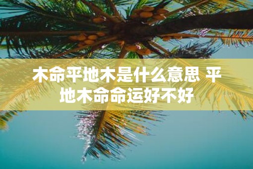 木命平地木是什么意思 平地木命命运好不好