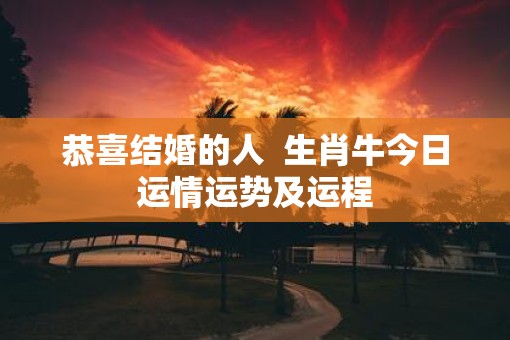 恭喜结婚的人  生肖牛今日运情运势及运程