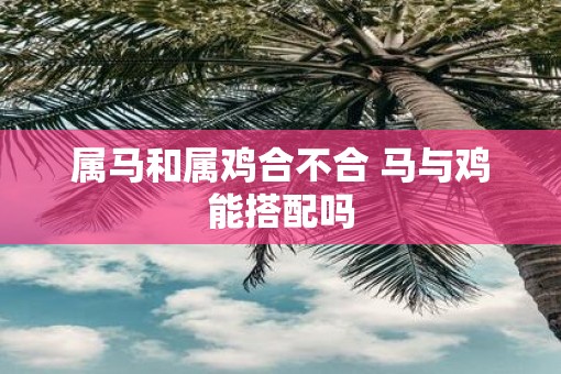属马和属鸡合不合 马与鸡能搭配吗