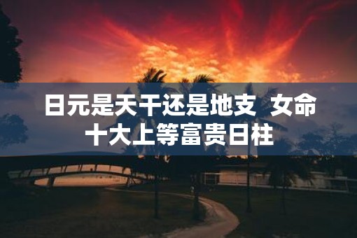 日元是天干还是地支  女命十大上等富贵日柱