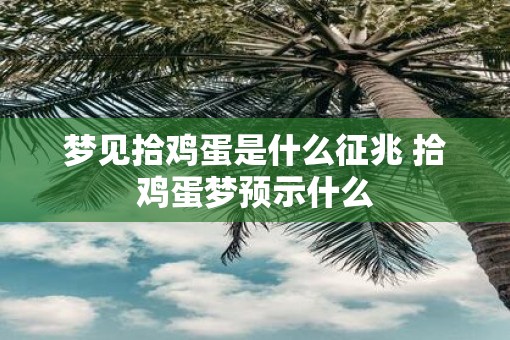 梦见拾鸡蛋是什么征兆 拾鸡蛋梦预示什么