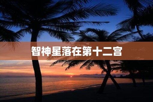 智神星落在第十二宫