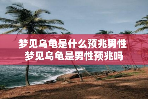梦见乌龟是什么预兆男性 梦见乌龟是男性预兆吗
