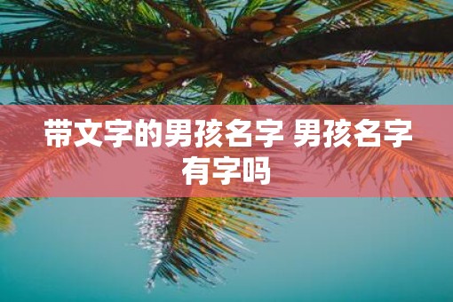 带文字的男孩名字 男孩名字有字吗