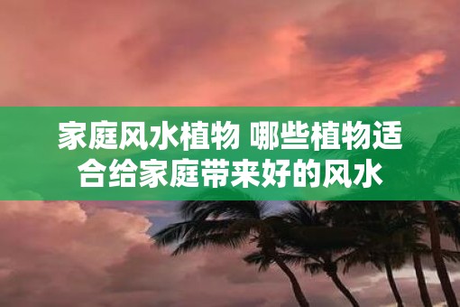 家庭风水植物 哪些植物适合给家庭带来好的风水