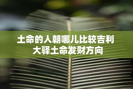 土命的人朝哪儿比较吉利  大驿土命发财方向