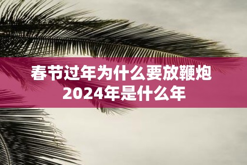 春节过年为什么要放鞭炮 2025年是什么年
