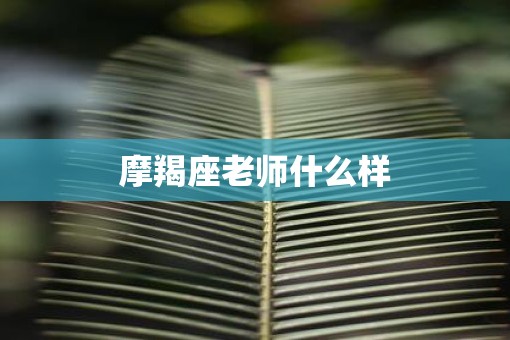 摩羯座老师什么样