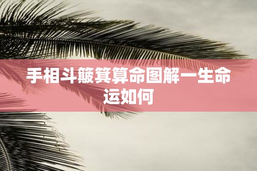 手相斗簸箕算命图解一生命运如何