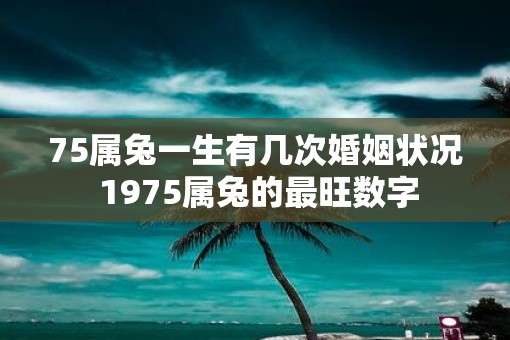 75属兔一生有几次婚姻状况 1975属兔的最旺数字