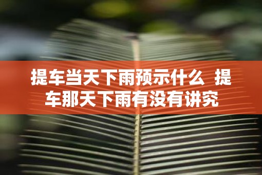 提车当天下雨预示什么  提车那天下雨有没有讲究