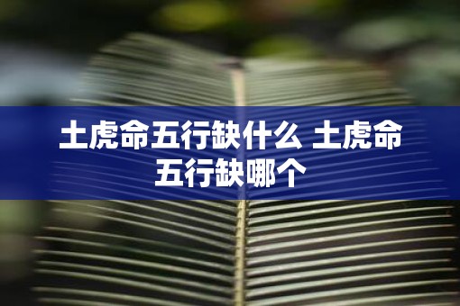 土虎命五行缺什么 土虎命五行缺哪个