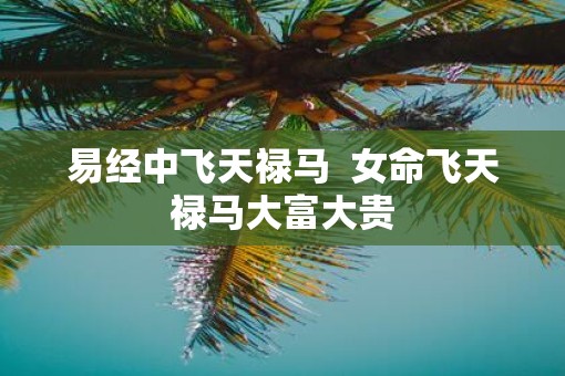 易经中飞天禄马  女命飞天禄马大富大贵