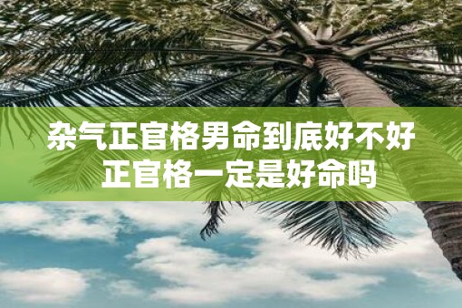 杂气正官格男命到底好不好  正官格一定是好命吗