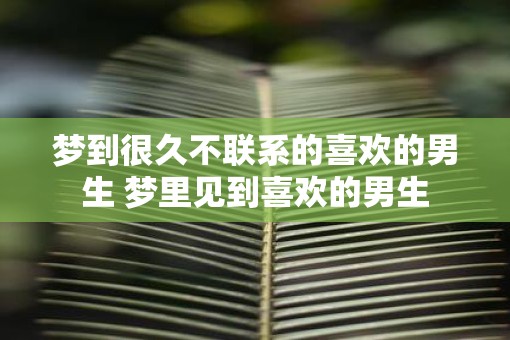 梦到很久不联系的喜欢的男生 梦里见到喜欢的男生