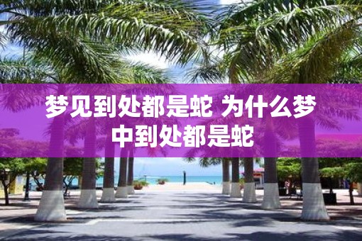 梦见到处都是蛇 为什么梦中到处都是蛇
