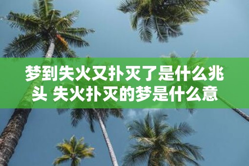 梦到失火又扑灭了是什么兆头 失火扑灭的梦是什么意思