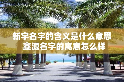 新宇名字的含义是什么意思  鑫源名字的寓意怎么样