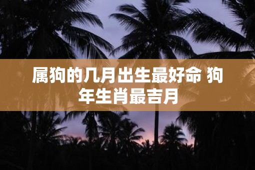 属狗的几月出生最好命 狗年生肖最吉月