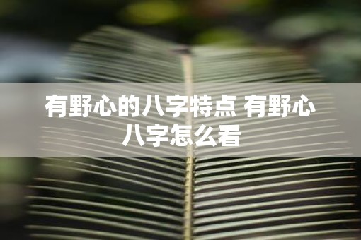 有野心的八字特点 有野心八字怎么看