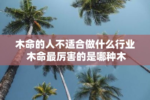 木命的人不适合做什么行业 木命最厉害的是哪种木