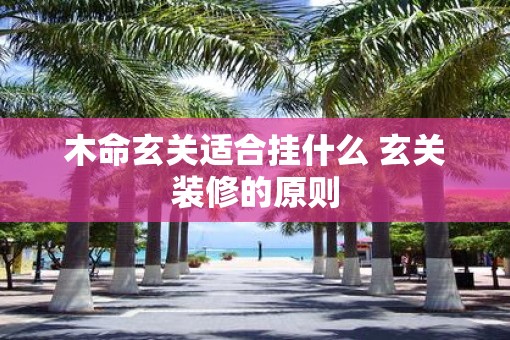 木命玄关适合挂什么 玄关装修的原则
