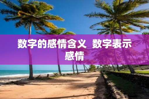 数字的感情含义  数字表示感情