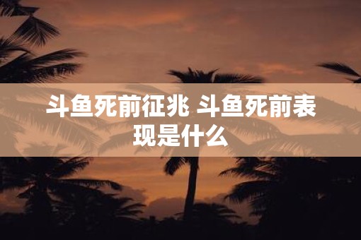 斗鱼死前征兆 斗鱼死前表现是什么