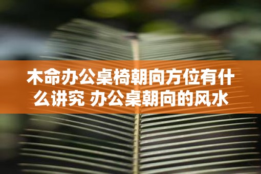 木命办公桌椅朝向方位有什么讲究 办公桌朝向的风水宜忌