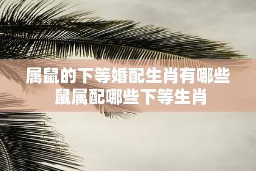 属鼠的下等婚配生肖有哪些 鼠属配哪些下等生肖