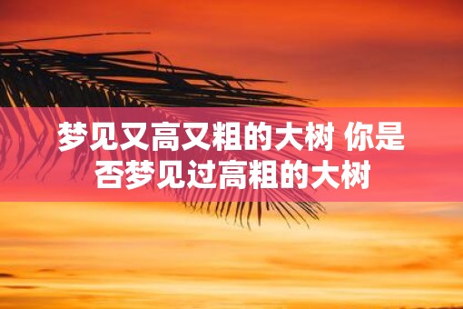梦见又高又粗的大树 你是否梦见过高粗的大树
