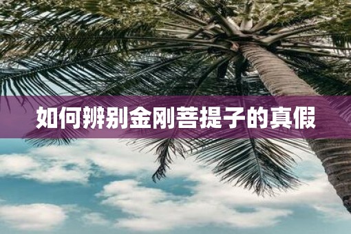 如何辨别金刚菩提子的真假