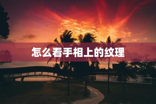 怎么看手相上的纹理